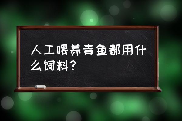 猪饲料青鱼吃吗 人工喂养青鱼都用什么饲料？