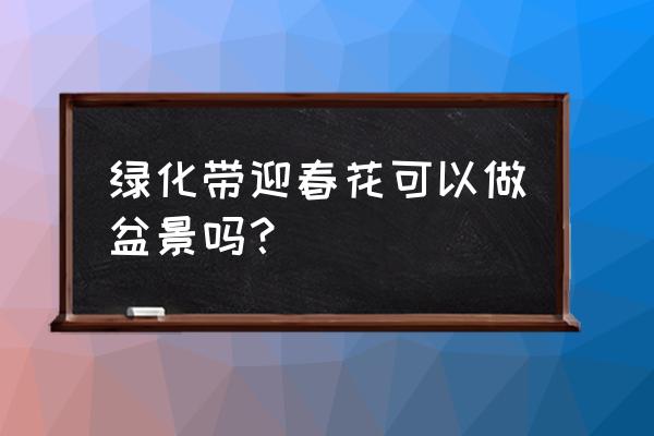 迎春花高柱选择什么花盆更好看 绿化带迎春花可以做盆景吗？