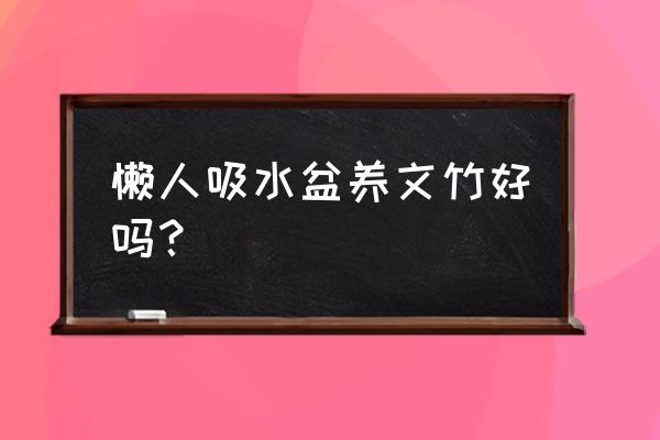 吸水花盆怎么种植文竹 懒人吸水盆养文竹好吗？