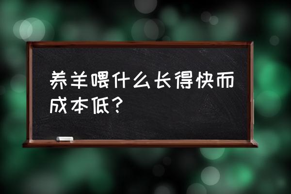 啥饲料喂羊长的快 养羊喂什么长得快而成本低？