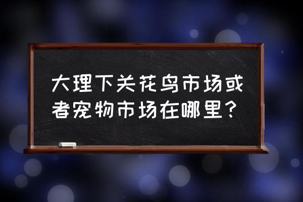 大理犬养殖场有吗 大理下关花鸟市场或者宠物市场在哪里？