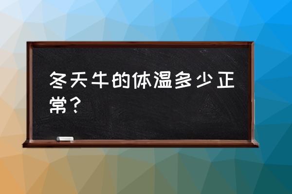 牛高烧40度不退怎么办 冬天牛的体温多少正常？