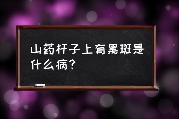 吃什么野草能彻底除掉头上的黑斑 山药杆子上有黑斑是什么病？