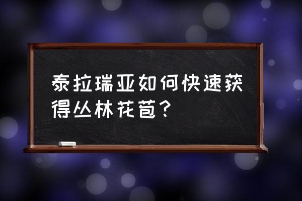 泰拉瑞亚世纪之花在哪里找到 泰拉瑞亚如何快速获得丛林花苞？