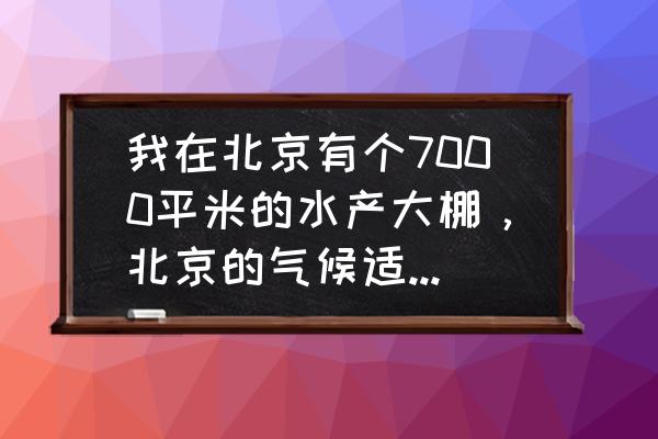 大棚暂养龙虾技术 我在北京有个7000平米的水产大棚，北京的气候适合养小龙虾吗？