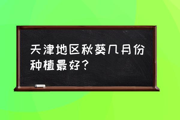 秋葵什么月份种最好 天津地区秋葵几月份种植最好？