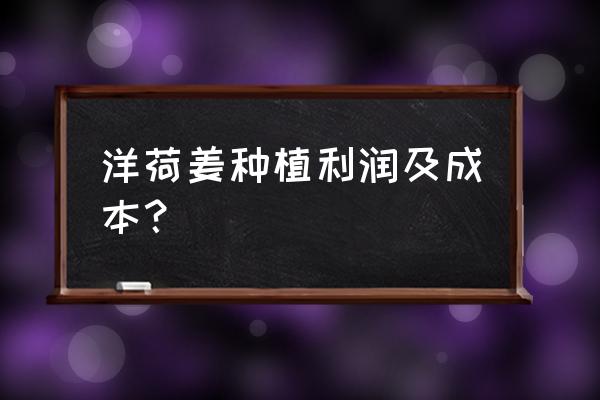 阳荷栽种最佳时间 洋荷姜种植利润及成本？