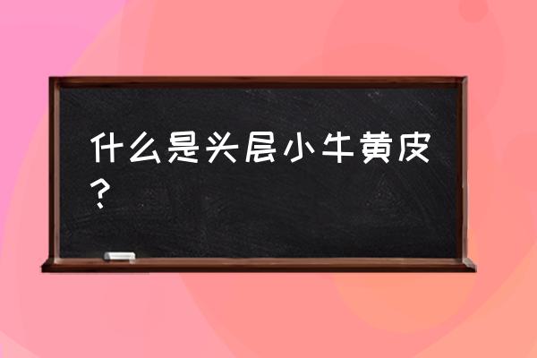 小牛电动车的弊端在哪呢 什么是头层小牛黄皮？