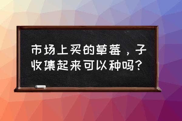 买回来的草莓苗怎么种才能活 市场上买的草莓，子收集起来可以种吗？