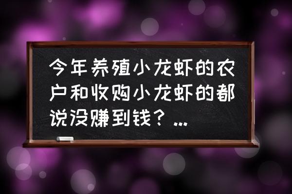 稻田养殖小龙虾一亩每年的利润 今年养殖小龙虾的农户和收购小龙虾的都说没赚到钱？哪些人赚到钱了呢？