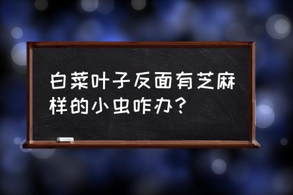 白菜的虫害防治方法 白菜叶子反面有芝麻样的小虫咋办？