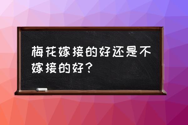 梅花嫁接与扦插哪种好 梅花嫁接的好还是不嫁接的好？