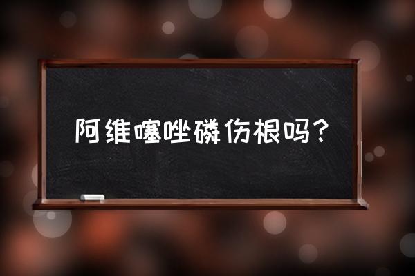 防治根结线虫什么药最好 阿维噻唑磷伤根吗？