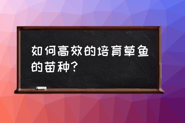 怎样调控水质鱼苗成活率才能高 如何高效的培育草鱼的苗种？