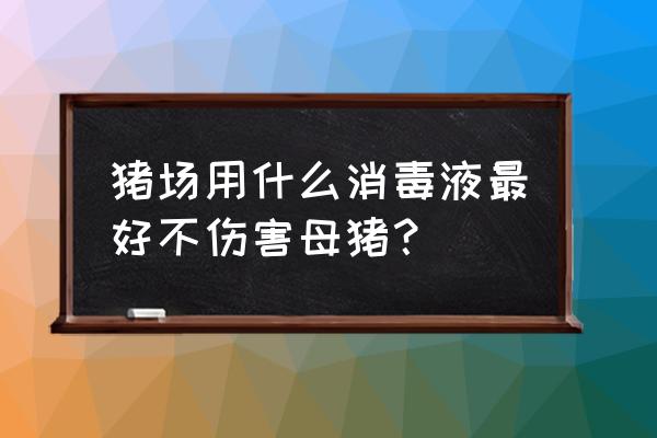 母猪产床消毒用什么 猪场用什么消毒液最好不伤害母猪？