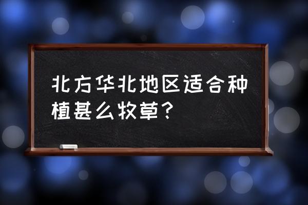 紫花苜蓿缺点 北方华北地区适合种植甚么牧草？