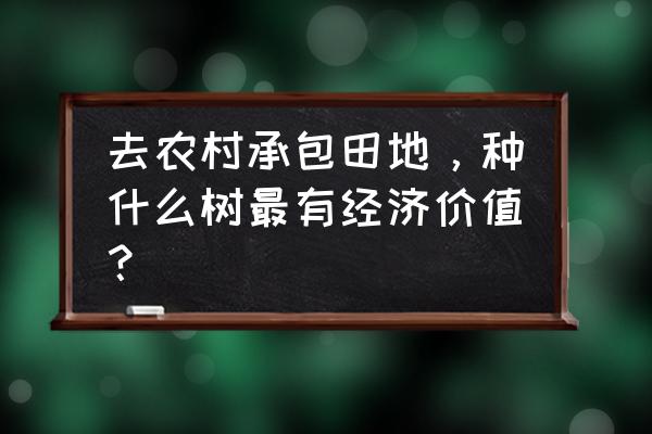 什么树是金钱的象征 去农村承包田地，种什么树最有经济价值？