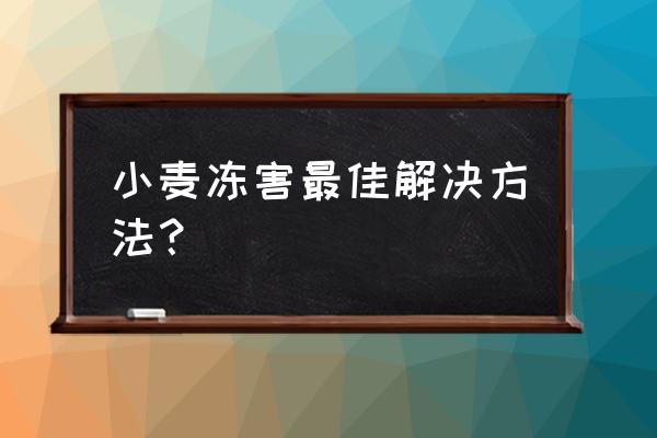 防治倒春寒的最佳方法 小麦冻害最佳解决方法？