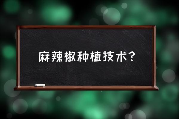 为什么南方的辣椒能活好几年 麻辣椒种植技术？