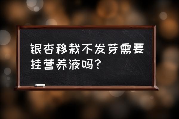 盆栽银杏冬天怎么浇水好 银杏移栽不发芽需要挂营养液吗？