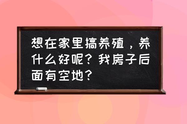 搞养殖什么最好赚钱 想在家里搞养殖，养什么好呢？我房子后面有空地？