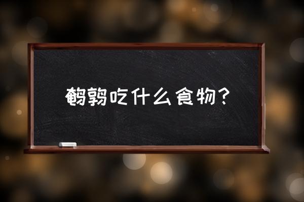 鹌鹑吃什么食物 鹌鹑吃什么食物？